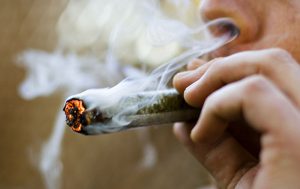 marijuana smoke odor eliminated guaranteed